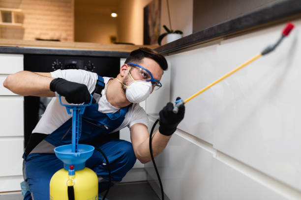 Best Exterminator Services  in Elizabethton, TN