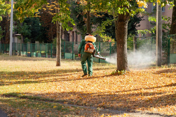 Elizabethton, TN Pest Control Company