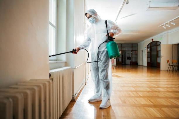 Reliable Elizabethton, TN Pest Control Solutions