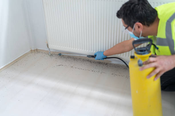 Best Affordable Pest Control Services  in Elizabethton, TN