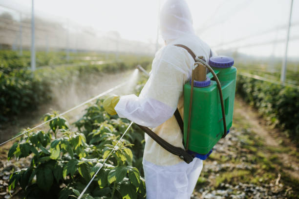 Best Insect Control  in Elizabethton, TN